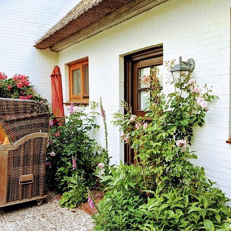 Ferienhaus Ebbe Und Flut, Terrassen-Whg Nieblum Eksteriør bilde